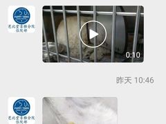 -芭比堂动物医院·心脏专科·夜诊·吉雅分院