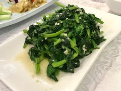 蒜蓉豆尖-花家怡园