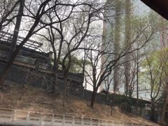 -皇家御河游(紫御湾码头)