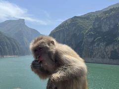 -白帝城·瞿塘峡景区