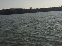 -大兴滨河森林公园