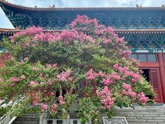 -信阳灵山风景区