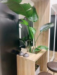 -Garden花園造型