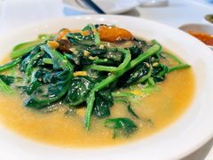 上汤时蔬-莆田餐厅PUTIEN(西安万象天地店)