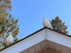 -泉城广场