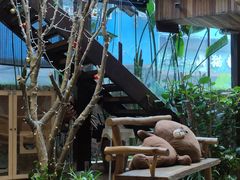-渔太泰漓江小馆·广西融合菜(西街店)
