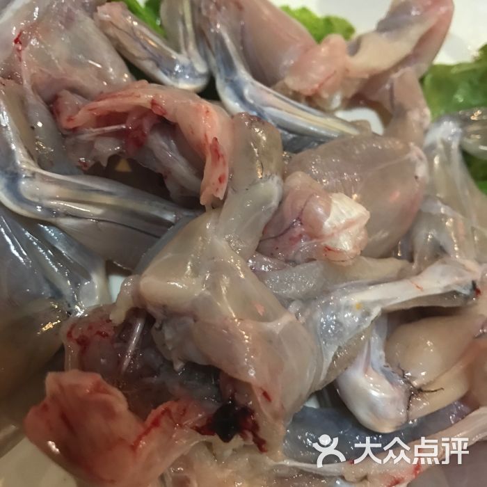 三味緣牛蛙火鍋(官園店)圖片 - 第122張