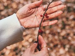 -国家植物园南园