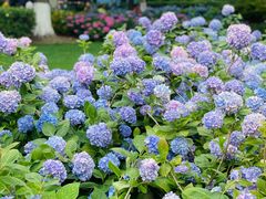 -常州古运河南大街文化旅游区-人民公园