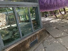-宁波野生动物园