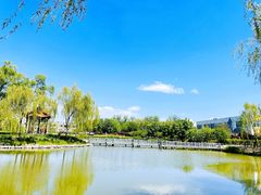 -将府公园