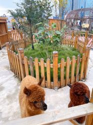 -三分地生态园·儿童乐园