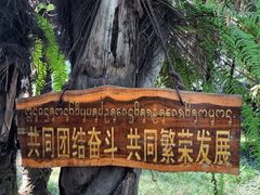 -曼听御花园