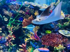 -成都浩海立方海洋公园