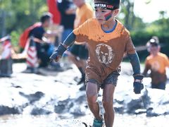 -春花秋色城市公园