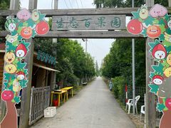 -上海长兴岛郊野公园