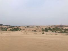 -玉龙沙湖景区