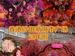 -新城市广场