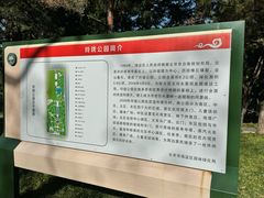 -玲珑塔公园