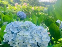 -浮游·云巅派对西餐厅(鼓岭旅游度假区店)