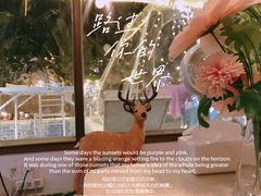 -天空花园餐吧·生日·团建(南山店)