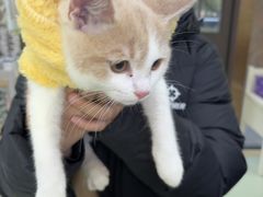 -瑞鹏宠物医院·宠保定点·心脏科·内科(御桥分院)