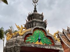 -西双版纳傣族园