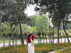 -苏州上方山国家森林公园