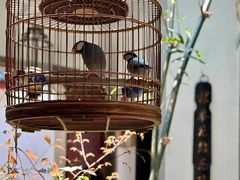 -31号公馆(黄兴广场白果园店)