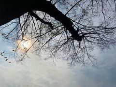 -滆湖低碳生态公园