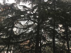 -中国人民解放军总医院(301医院)
