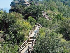 -大岭沟猕猴桃谷风景区