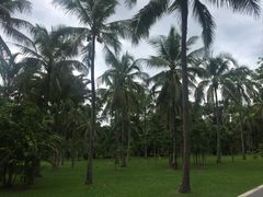 -中国科学院西双版纳热带植物园