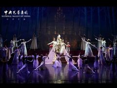 -中央芭蕾舞团·中芭艺蕾(酒仙桥明星校区)