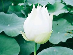 -龙环葡韵住宅式博物馆