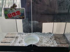 -春晖园度假酒店温泉