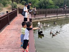 -厦门悦华酒店·绿庭主题自助餐厅
