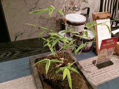 -忆江南·临江鱼馆