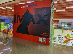 -金逸影城(武汉人信汇IMAX店)