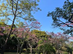 -晓港公园