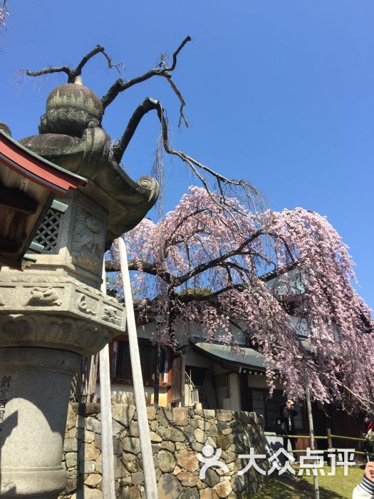 冰室神社图片