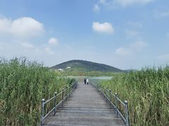 -长广溪湿地公园