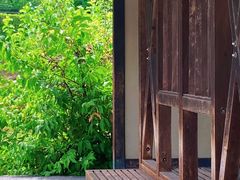 -名古屋城