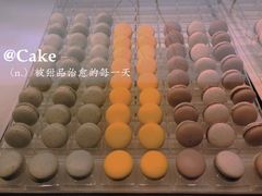 -BLACKSWAN黑天鹅(环球店)