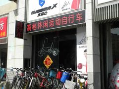 -道路口单车爱瓦士dahon大行