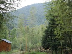 -陶祖圣境风景区
