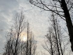 -金海湾滨江公园