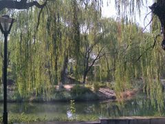-满都海公园