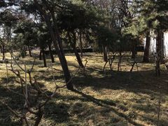-玲珑塔公园