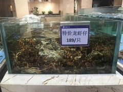 -旺顺阁海鲜广场(亚运村店)